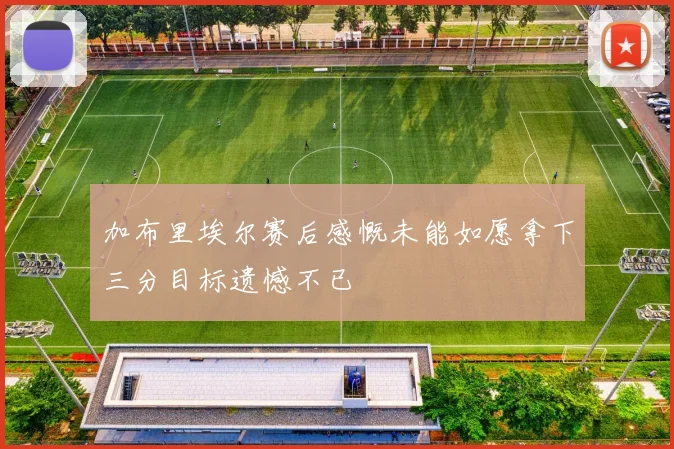 加布里埃尔赛后感慨未能如愿拿下三分目标遗憾不已