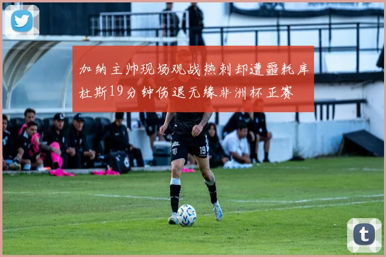 加纳主帅现场观战热刺却遭噩耗库杜斯19分钟伤退无缘非洲杯正赛